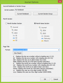 OneNote Journal Options