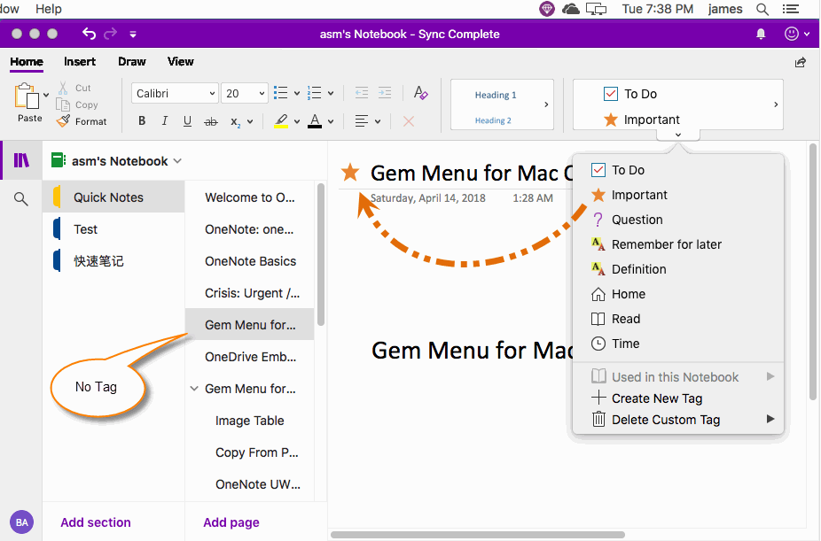 OneNote Tags Cannot be displayed in the Page List