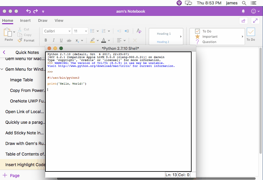 Use Gem Menu to highlight the computer program code and insert it into the Mac OneNote.