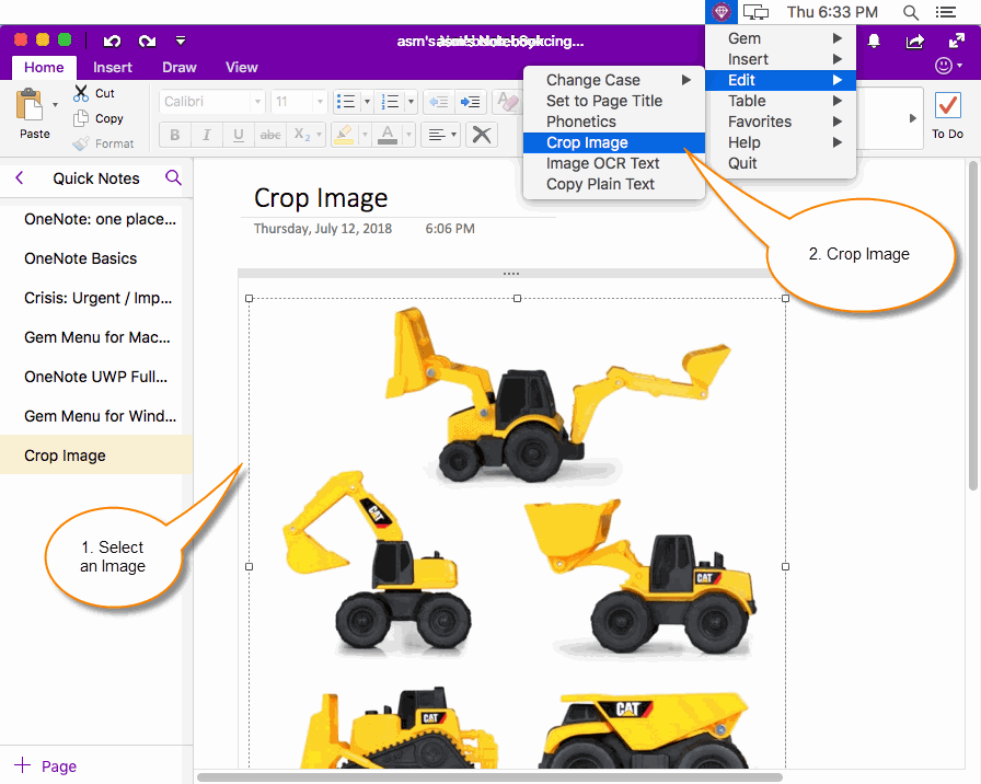 Select an Image in Mac OneNote, Click 