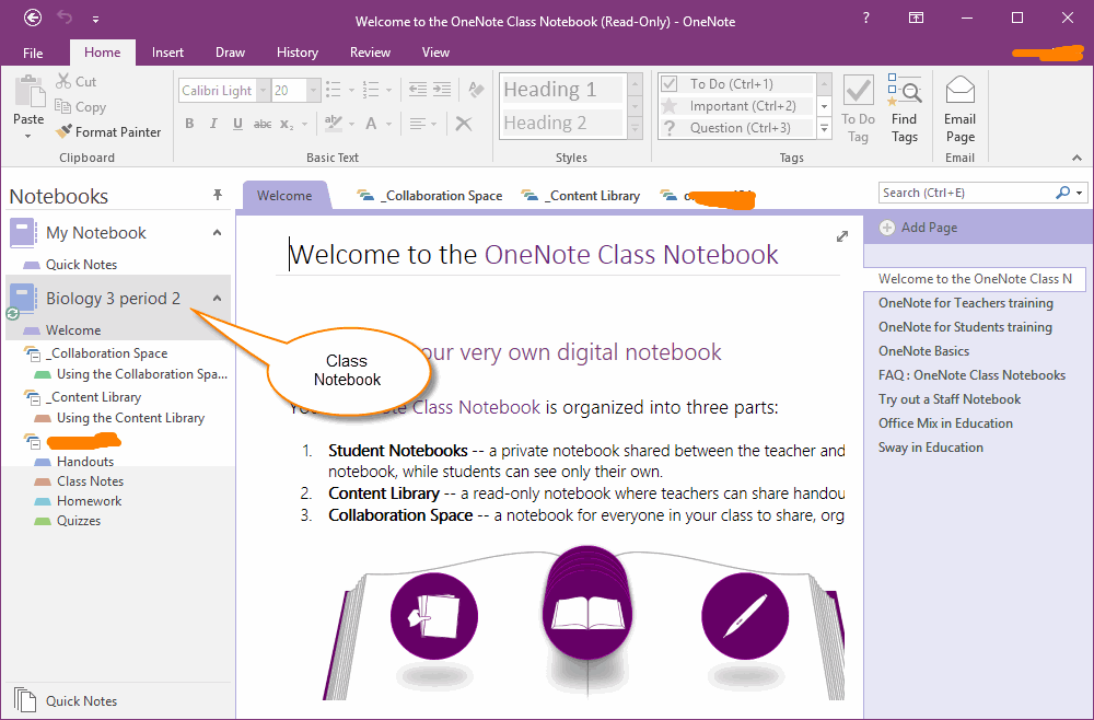 A Student's OneNote Class Notebook
