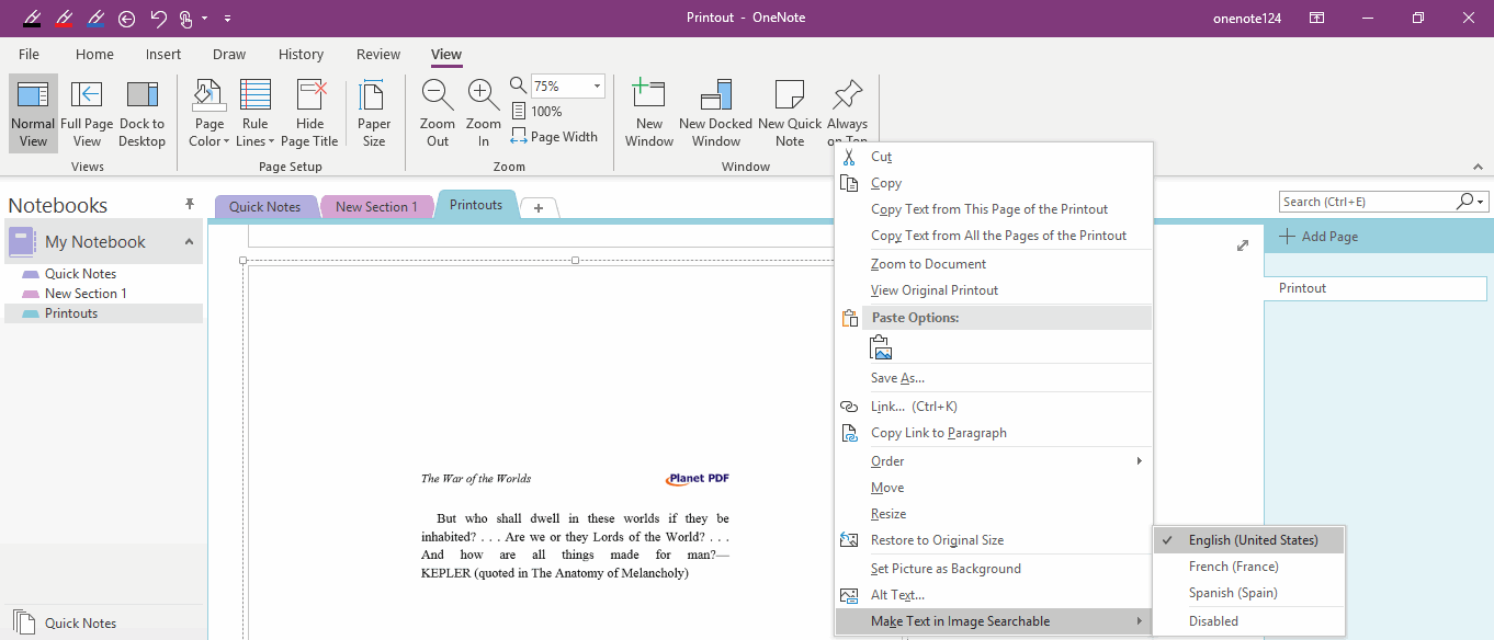 OneNote uses this language to OCR the image.