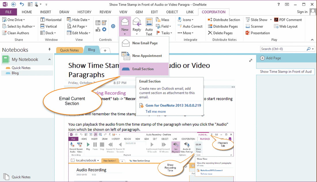 Send an OneNote Section File Through Outlook