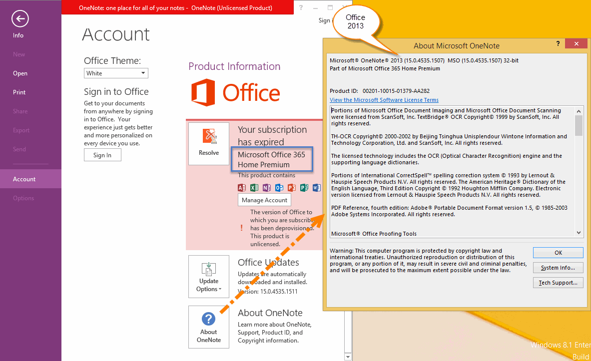 2013 Version of Office 365