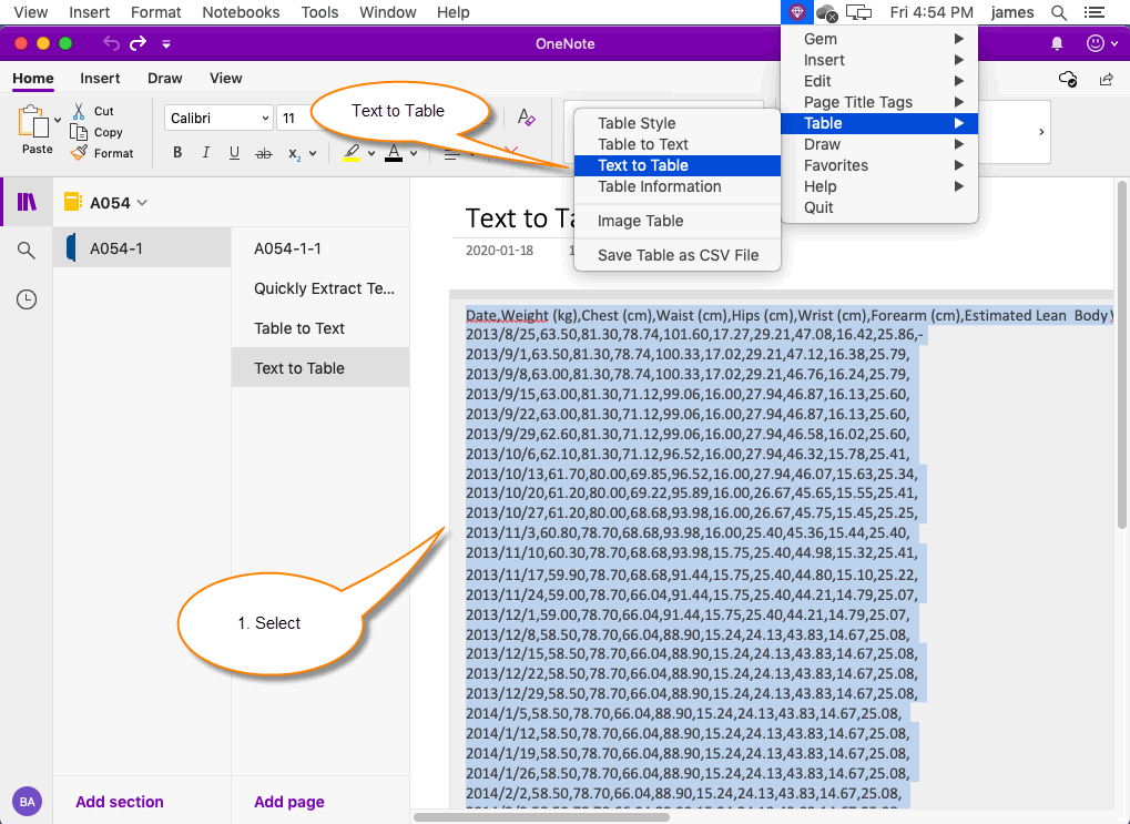 Select the Text to Convert in Mac OneNote