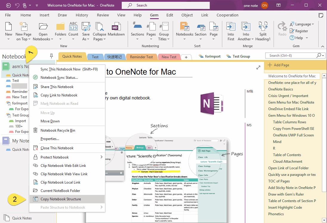 Step 4: Click the Copy Notebook Structure Menu Item on the Right-Click Menu of the Source Notebook