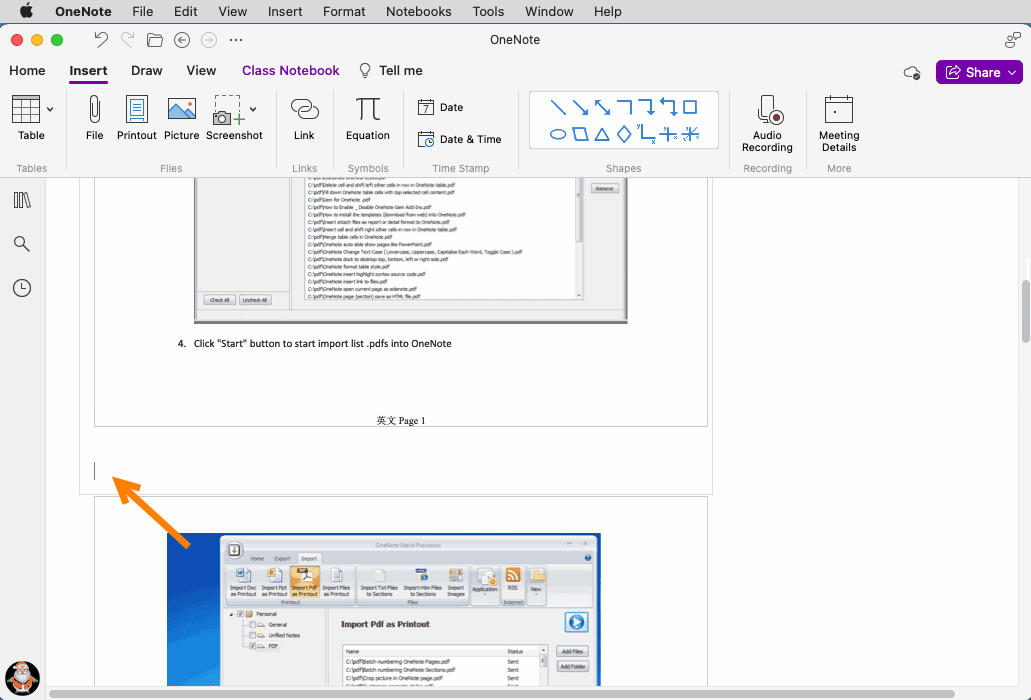 Converts the First Printout into a Text Container