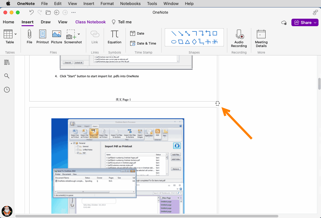 Drag the Container Border to Resize all Printouts