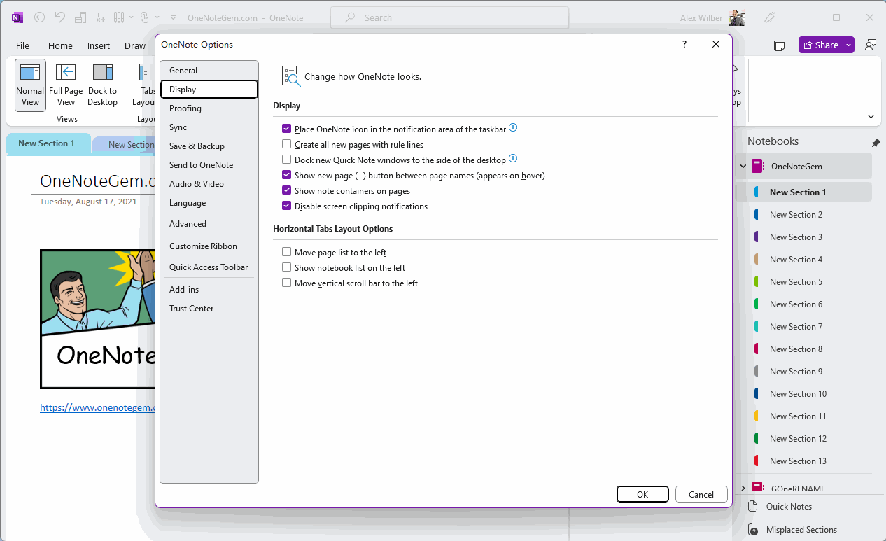 Horizontal Tab Layout Options in the OneNote Options window be available.