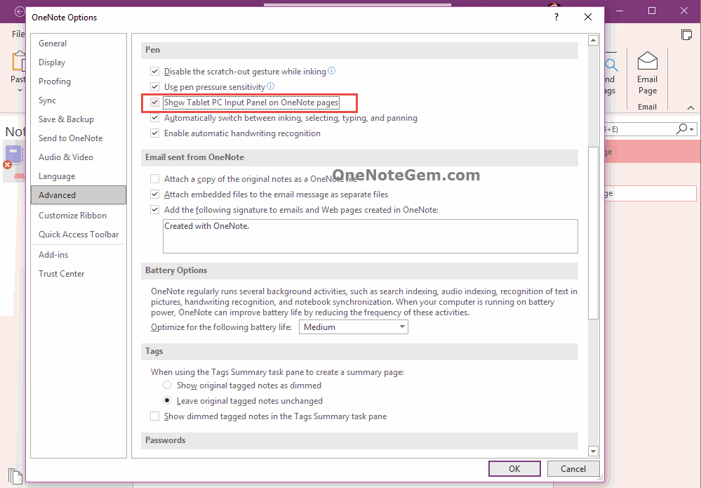 Show Tablet PC Input Panel on OneNote pages.