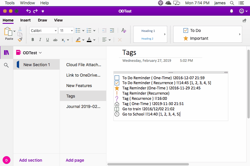Use Gem Menu to export MAC OneNote tags to a .csv file, and then open with Excel.