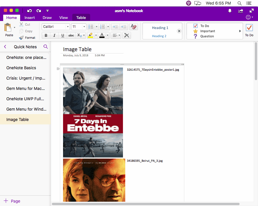 Image Table in Mac OneNote