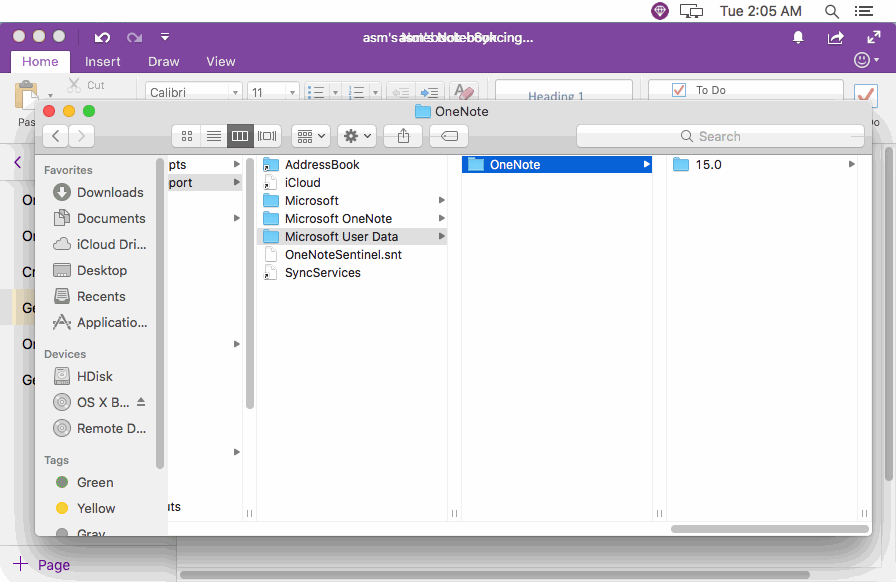 Mac OneNote Cache Folder