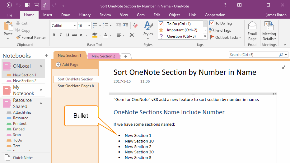 Bullets in OneNote Page