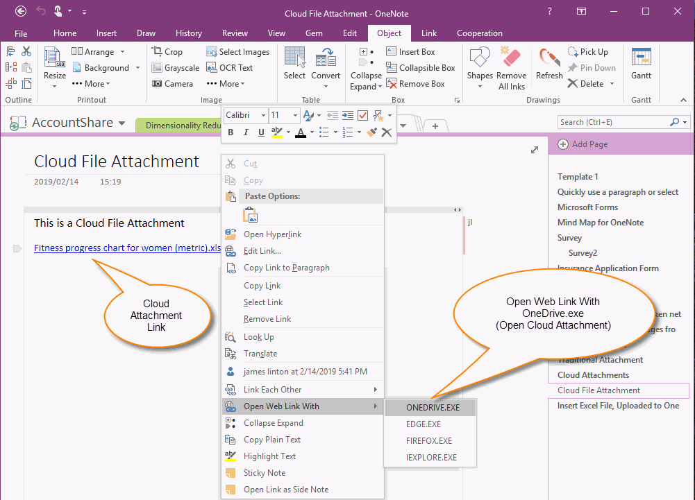 Open Cloud Attachment from OneNote 2016, 2013, 2010