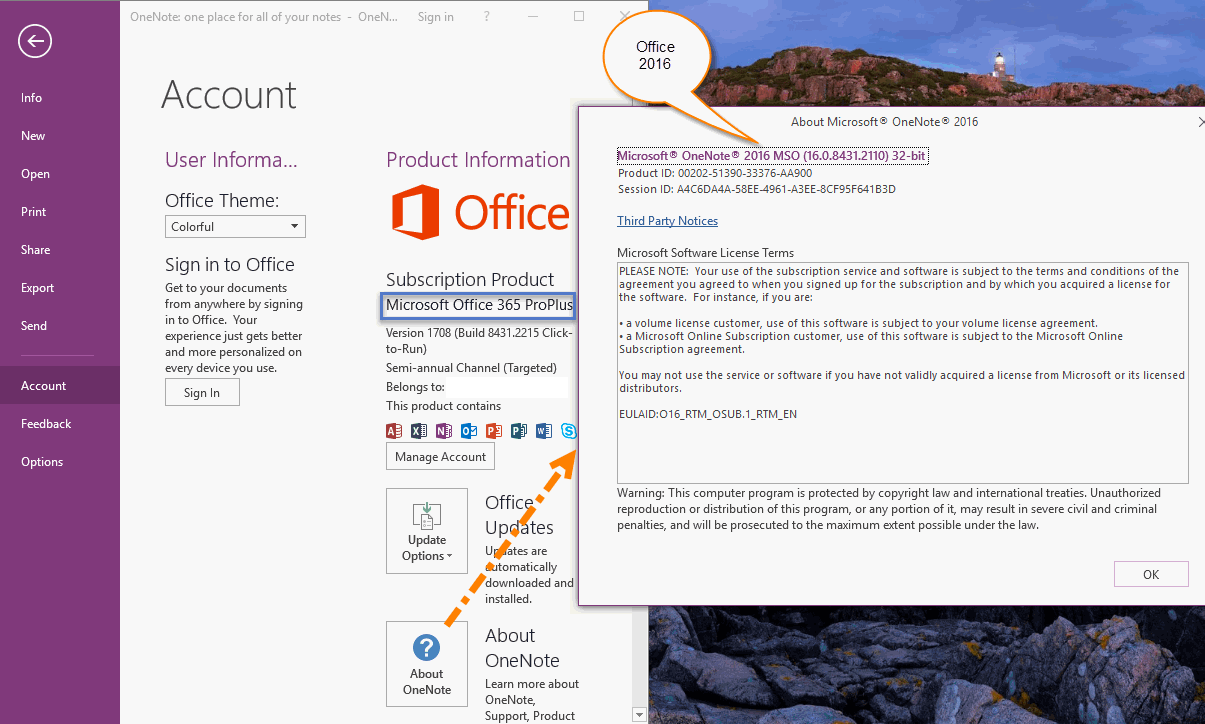 2016 version of Office 365