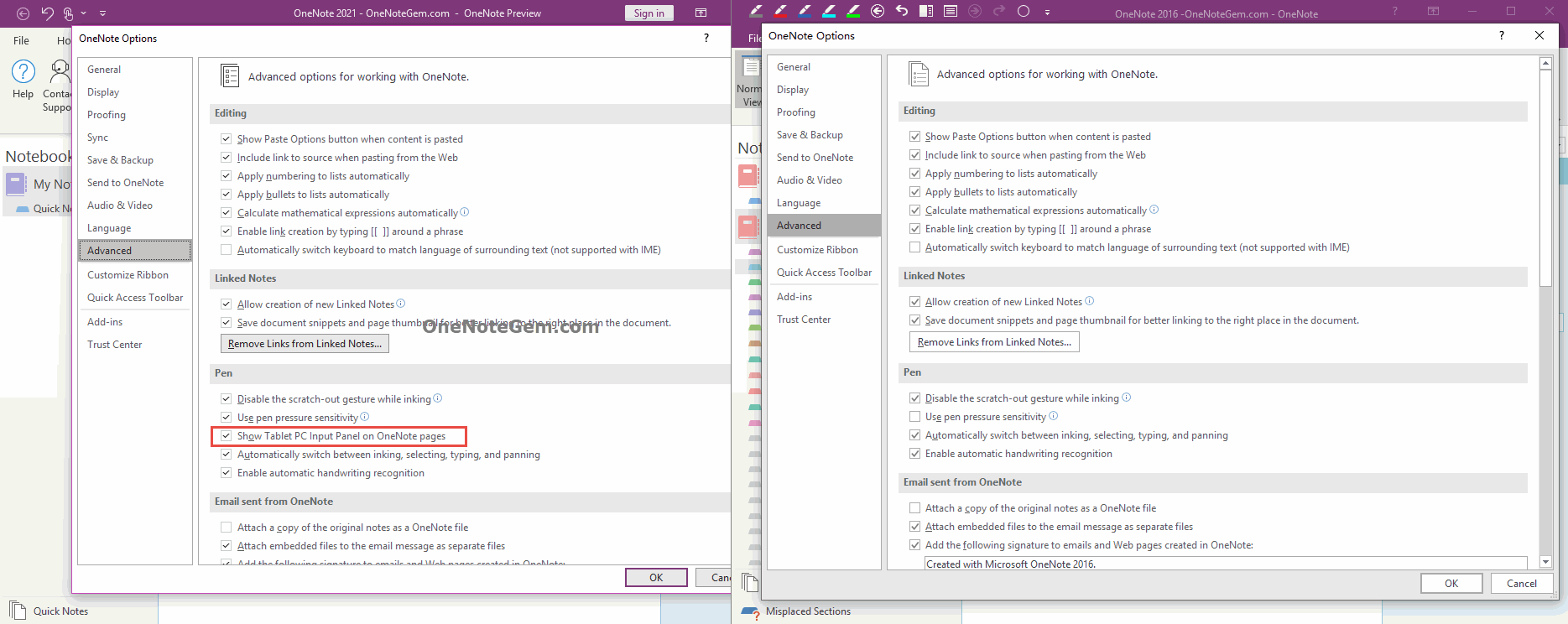 Show Tablet PC Input Panel on OneNote pages.