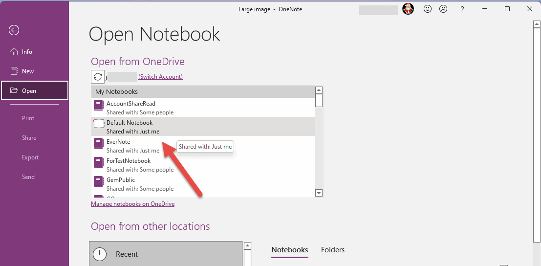 Open Notebook on OneDrive.com