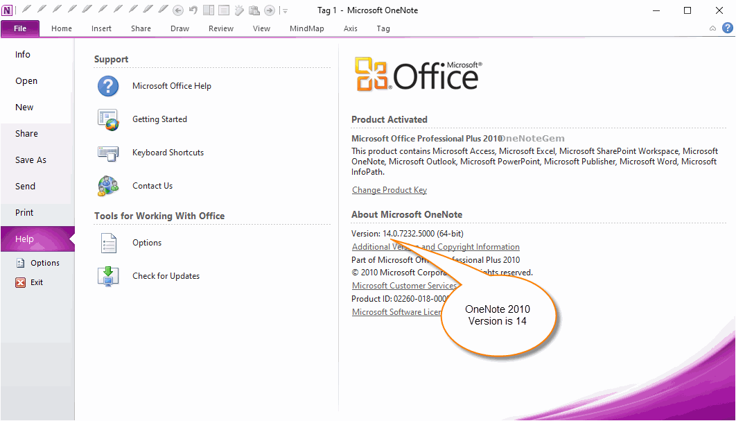 how to update onenote 2010 to 2013